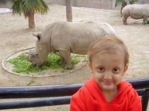 A young boy with ED wearing a bright orange jumper, looking directly at the camera and stood in front of a rhino grazing 