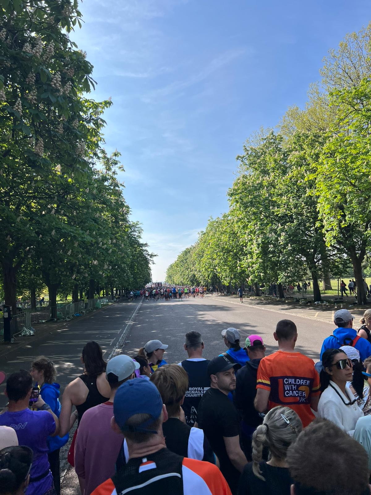 view of all runners lined up ready to begin
